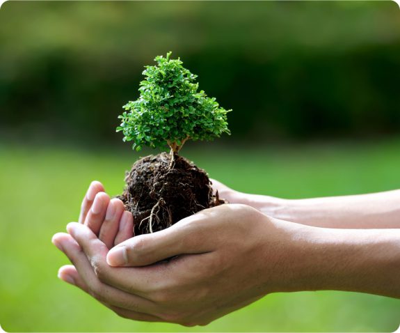 Cam kết về giá trị thật