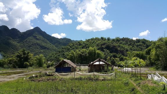 Cánh đồng bản Lác.jpg