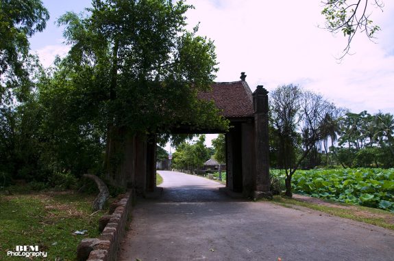 Đường Lâm.jpg
