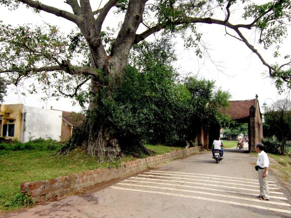 Cổng vào làng cổ Đường Lâm.jpg