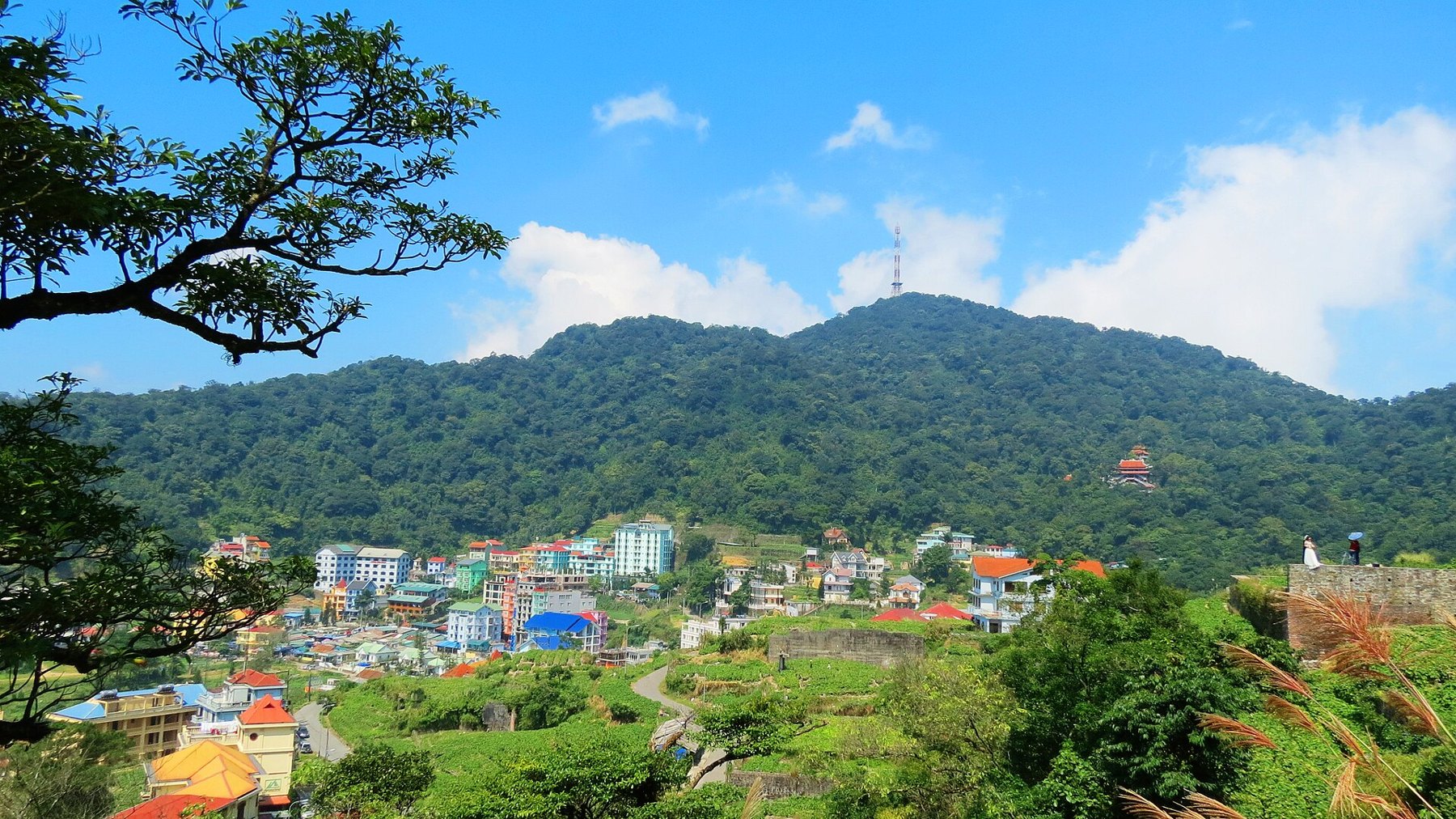 Phong cảnh Tam Đảo.JPG