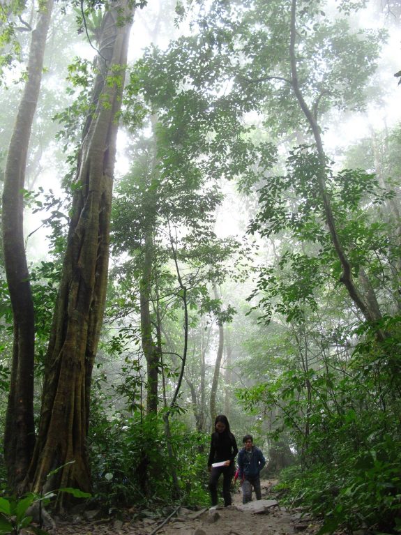 Tây Thiên - Đường lên bàn cờ tiên - panoramio.jpg