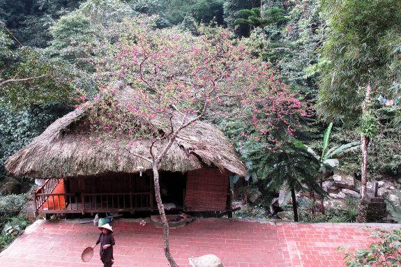 Tịnh Thất Tây Thiên - panoramio (8).jpg