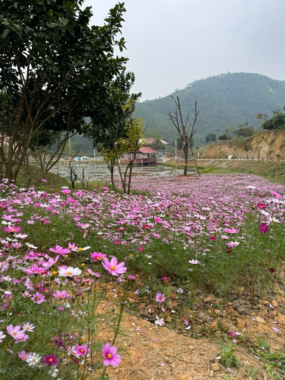 Dương Gia Trang Homestay