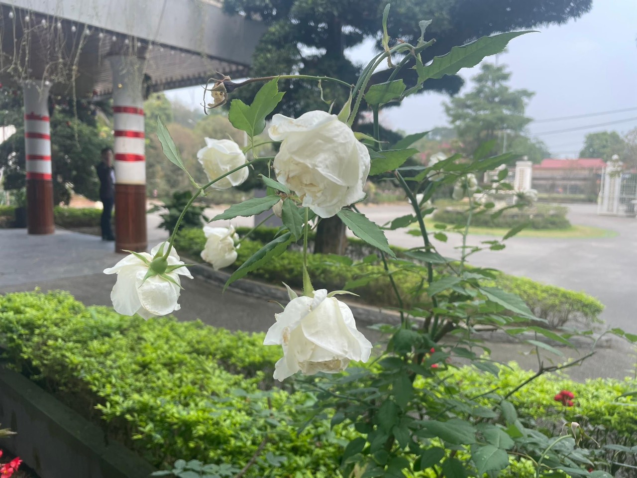 Làng Mô Retreat